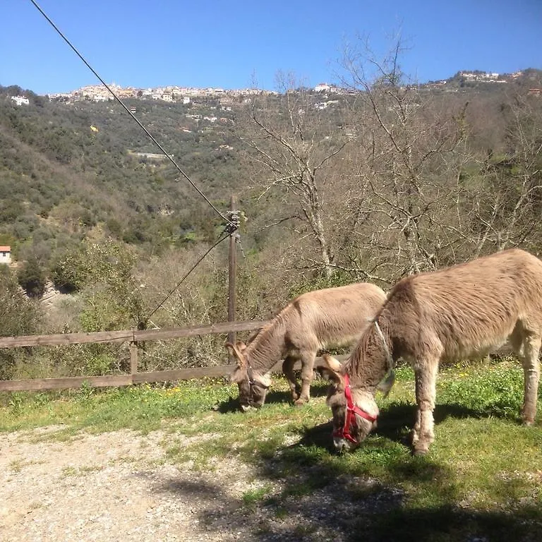 Vakantieboerderij Il Rifugio Di Artemide Agriturismo Perinaldo